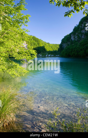 Nationalpark Plitvicer Seen, Lika-Senj, Kroatien. Blick über Kaluderovac See auf der steilen Tal der unteren Seen. Stockfoto