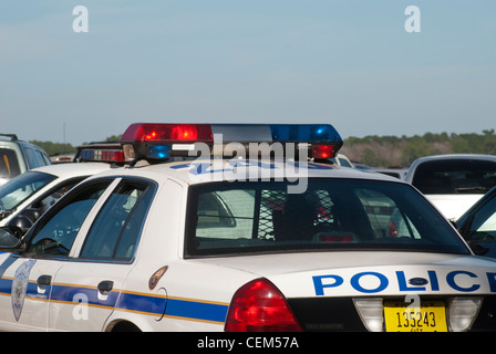 Polizeiauto Gainesville Florida Stockfoto