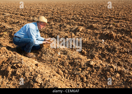 Landwirtschaft - ein Bauer (Züchter) untersucht Bett Boden, die in den kommenden Monaten Baumwolle gepflanzt / England, Arkansas. Stockfoto