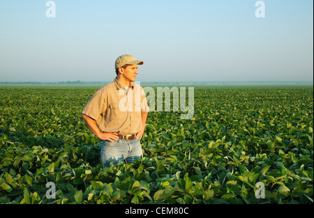 Ein Bauer (Züchter) blickt auf seinem Gebiet und untersucht seine Mitte Wachstum-Soja-Ernte in der Mitte-zu-Ende-Pod Set Stadium / USA. Stockfoto