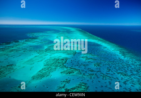 Luftaufnahme des Arlington Reef bei Cairns. Great Barrier Reef Marine Park, Queensland, Australien Stockfoto