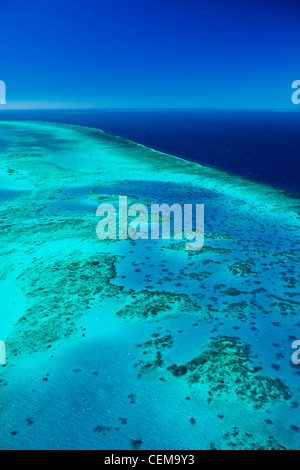 Luftaufnahme des Arlington Reef bei Cairns. Great Barrier Reef Marine Park, Queensland, Australien Stockfoto