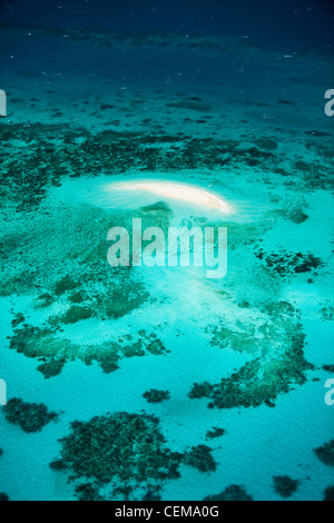 Luftaufnahme des Vlassof Cay, in der Nähe von Cairns. Great Barrier Reef Marine Park, Queensland, Australien Stockfoto