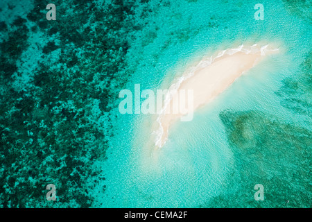 Luftaufnahme des Vlassof Cay, in der Nähe von Cairns. Great Barrier Reef Marine Park, Queensland, Australien Stockfoto