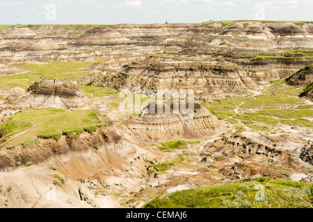 Horseshoe Canyon, Alberta Badlands, in der Nähe von Drumheller, Alberta, Kanada Stockfoto