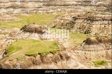 Horseshoe Canyon, Alberta Badlands, in der Nähe von Drumheller, Alberta, Kanada Stockfoto