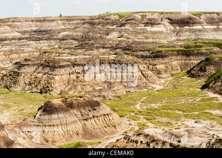 Horseshoe Canyon, Alberta Badlands, in der Nähe von Drumheller, Alberta, Kanada Stockfoto