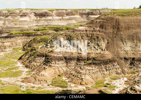 Horseshoe Canyon, Alberta Badlands, in der Nähe von Drumheller, Alberta, Kanada Stockfoto