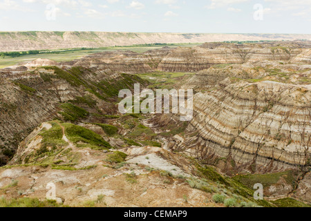 Horsethief Canyon, in den Alberta Badlands, in der Nähe von Drumheller, Alberta, Kanada Stockfoto