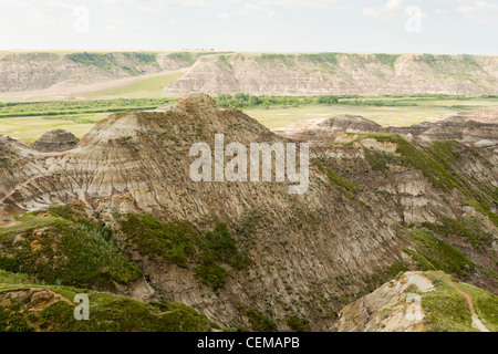 Horsethief Canyon, in den Alberta Badlands, in der Nähe von Drumheller, Alberta, Kanada Stockfoto