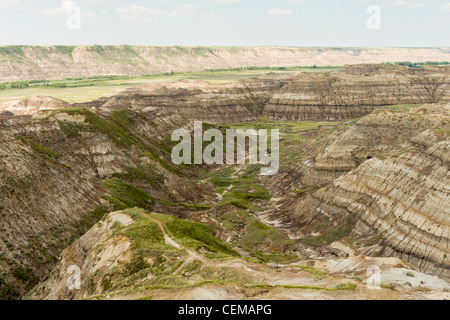 Horsethief Canyon, in den Alberta Badlands, in der Nähe von Drumheller, Alberta, Kanada Stockfoto