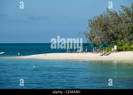 Liegestühle und Sonnenschirme auf Green Island.  Great Barrier Reef Marine Park, Queensland, Australien Stockfoto