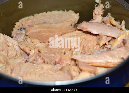 in einer Dose Thunfisch Stockfoto