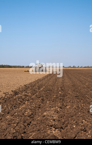 Ein Case IH Traktor und Feld implementieren bereiten Bett Boden in einem Feld im späten Frühjahr für den Anbau von Mais / Arkansas, USA. Stockfoto