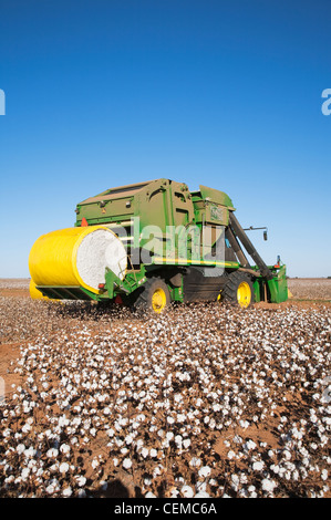 Landwirtschaft - ein John Deere 6-reihig an Bord Modul bauen Baumwolle Picker ernten Reifen Baumwollfeld / in der Nähe von Austin, Texas, USA Stockfoto