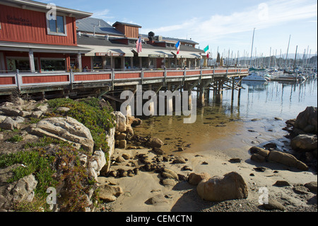 Monterey Marina, Kalifornien USA Stockfoto