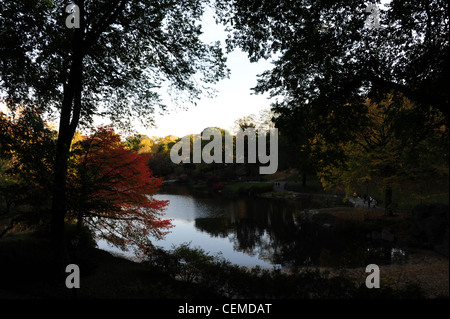 Herbstliche Bäume säumen Blick durch am See Bäume rote japanische Ahorn überhängenden Klarwasser The Pond, Central Park South, New York Stockfoto