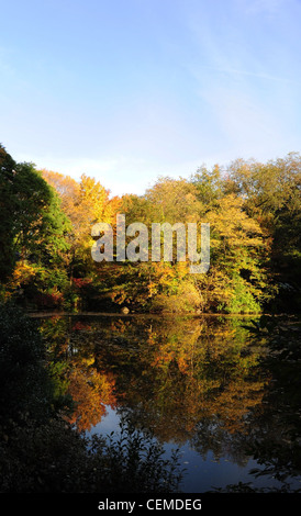 Blauer Himmel Porträt gelb braun Herbst Bäume reflektiert in den klaren Gewässern von The Pond, Central Park South New York Stockfoto