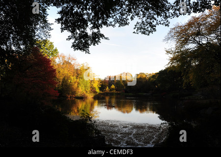 Blauer Himmel Baum Silhouette Fensteransicht, schwebende Bäume reflektiert kristallklaren Teich, Central Park South New York Herbstlaub Stockfoto