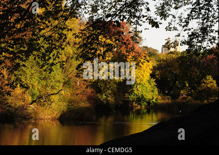 Blauer Himmel Baum Silhouette Herbst Strukturansichten reflektiert in der Bronze Wasser des Teiches, Central Park South New York Stockfoto