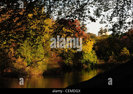 Blauer Himmel Baum Silhouette Herbst Bäume anzeigen Enten auf der Bronze Wasser des Teiches, Central Park South New York Stockfoto