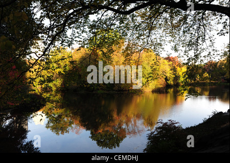 Blauer Himmel Baum Silhouette Herbst Strukturansichten reflektiert in den stillen Wassern des The Pond, Central Park South New York Stockfoto