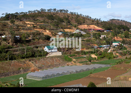 Ackerland in Dalat Vietnam Stockfoto