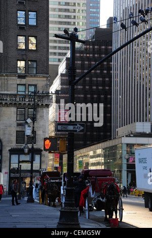 Morgen Sonne Porträt, 5th Avenue Wolkenkratzer, Lampe Tauben, Pferde-Kutschen geparkt, West 59th Street, Grand Army Plaza, New York Stockfoto