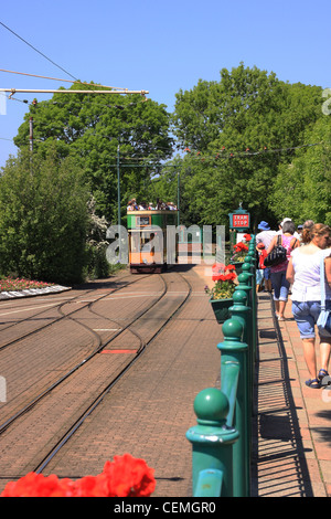 Colyton, Seaton elektrische Straßenbahn, elektrische Straßenbahn Haltestelle Colyford, rosa Straßenbahn, Dame und Hund wartet auf Straßenbahn, Sommerferien, dorset Stockfoto