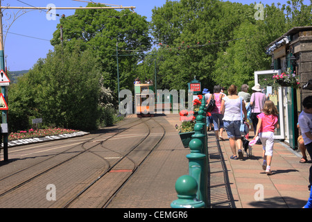 Colyton, Seaton elektrische Straßenbahn, elektrische Straßenbahn Haltestelle Colyford, rosa Straßenbahn, Dame und Hund wartet auf Straßenbahn, Sommerferien, dorset Stockfoto