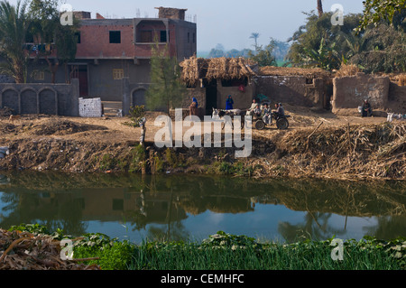 Zweige des Nil im Großraum Minya Ägypten Stockfoto