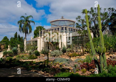 Viktorianische Palmenhaus im Vordergrund der Sukkulenten und Kakteen im Botanischen Garten Adelaide South Australia Stockfoto