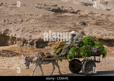 Bauer auf Beförderung und seinem Esel Assiyut Ägypten Stockfoto