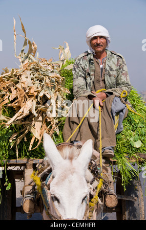 Bauer auf Beförderung und seinem Esel Assiyut Ägypten Stockfoto