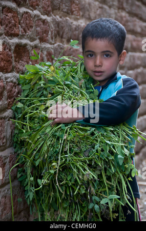 Kind mit Pflanzen Minya Ägypten Stockfoto