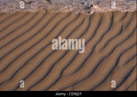 Sand Muster entlang der Küste des Pazifischen Ozeans mit Treibholz Stockfoto