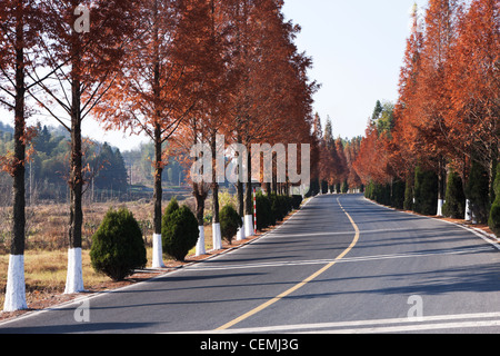 China, Anhui, Hongcun, Asien, Dorf, Schutz-Antiquitäten, Autobahn, Baum, Transport, Reisen, niemand, im Freien, Sonnenlicht, Road, Stockfoto