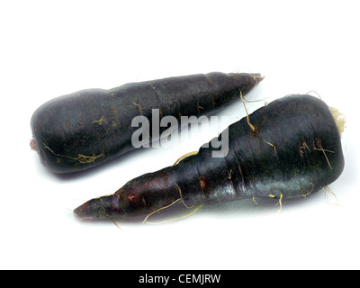 frische schwarze Karotten isoliert auf weißem Hintergrund Stockfoto