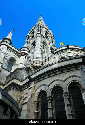 Der Rückseite der St. Finbarre Kathedrale, Cork, County Cork, Irland. Stockfoto