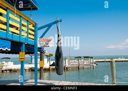 Oberdeck des Whale harbor Restaurant Wahoo Stockfoto