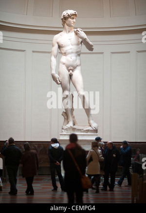 Michelangelos David David von Michelangelo in der Galerie der Accademia di Belle Arti in Florenz Stockfoto