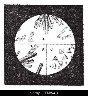 Abb. 3. a) Kristalle des Hämoglobins im Blut des Menschen. b. Kristalle von Hämoglobin der Katze. c. Kristalle von Hämoglobin des Blutes von Meerschweinchen, Vintage eingravierten Abbildung. Wörterbuch der Wörter und Dinge - larive und Fleury - 1895. Stockfoto