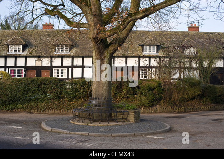17. Jahrhundert Almosen Fachwerkhäuser im malerischen ländlichen englischen Dorf von Pembridge Herefordshire England UK Stockfoto