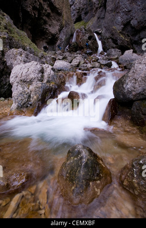 Goredale Narbe - natürlichem Kalkstein Wasserfall und Schlucht in der Nähe von Malham in Yorkshire Dales Stockfoto