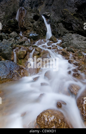 Goredale Narbe - natürlichem Kalkstein Wasserfall und Schlucht in der Nähe von Malham in Yorkshire Dales Stockfoto