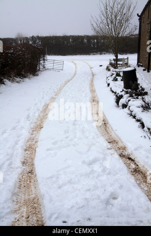 Spuren im Schnee Hook Norton Stockfoto