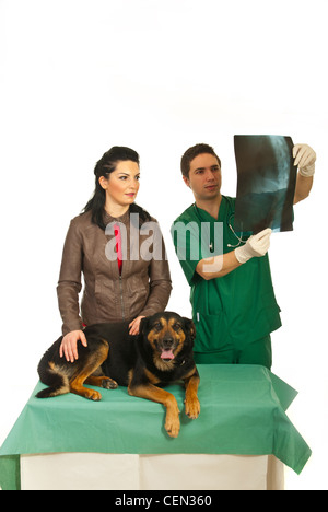 Frau mit tierärztlichen Mann über Hund Röntgen-Bild in seinem Büro vor weißem Hintergrund Stockfoto