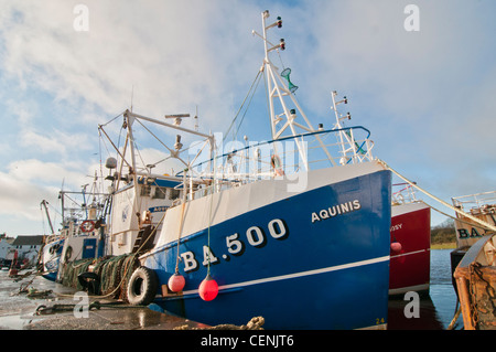 Vertäut schottischen Fischtrawler in Kirkcudbright Stockfoto