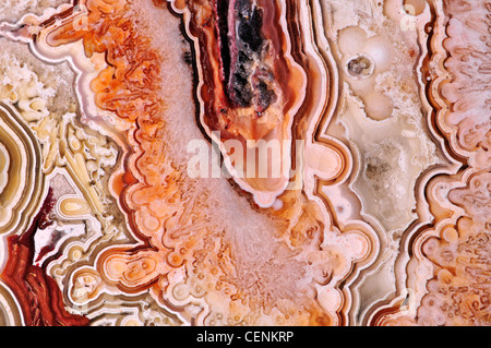 Polierte Scheibe des Jasper (undurchsichtig, feinkörniger Form von Chalcedon) Stockfoto