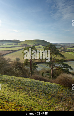 Blick von Cadbury Castle in Richtung Parrock Hill. Somerset. England. VEREINIGTES KÖNIGREICH. Stockfoto